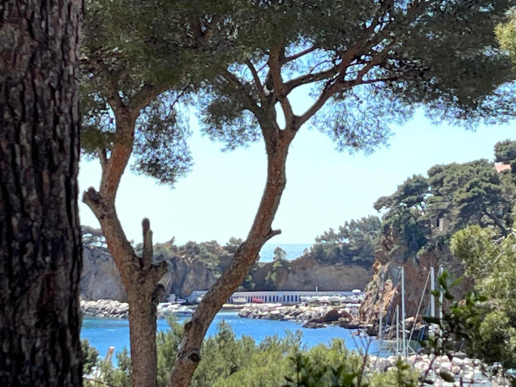 La Casa Calanquaise - Mer A 250M Accessible A Pied - T2 Spacieux Independant - Terrasse Ombragee Ensues-la-Redonne Eksteriør billede
